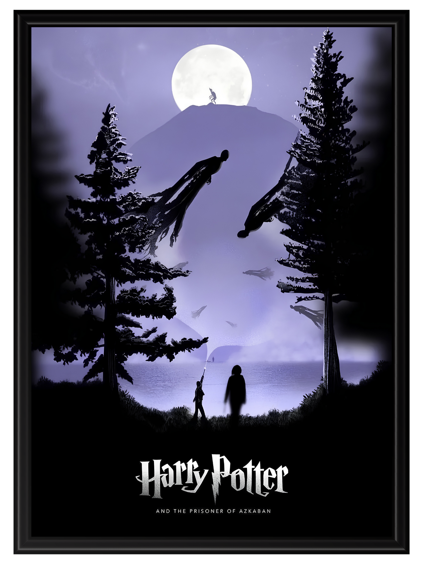Harry Potter #17
