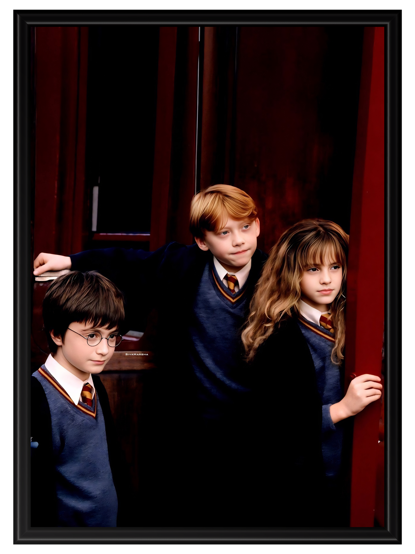 Harry Potter #20