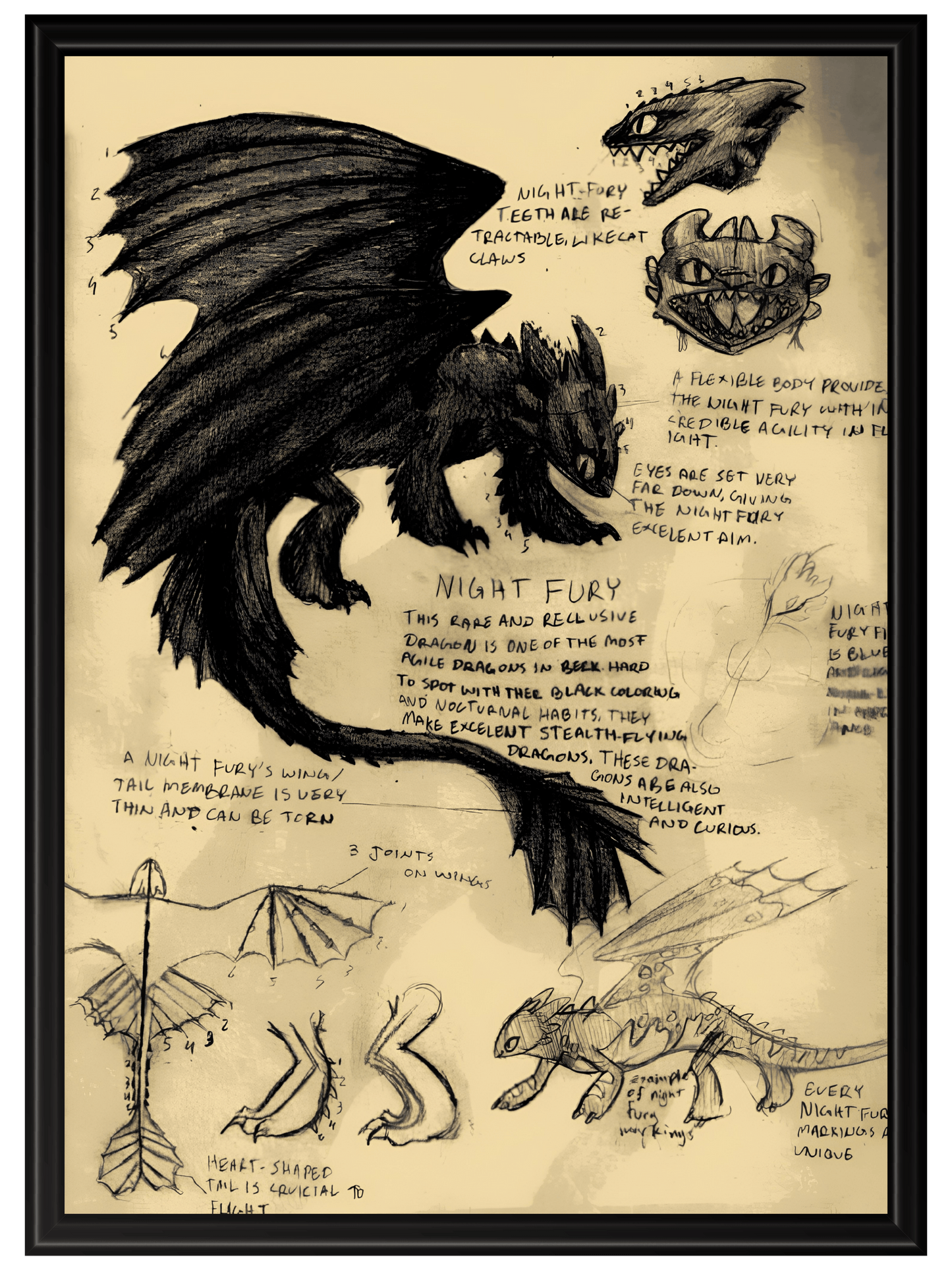 Como Entrenar a Tu Dragon #2