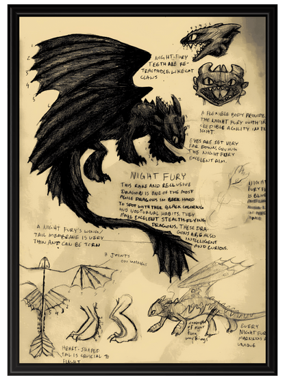 Como Entrenar a Tu Dragon #2