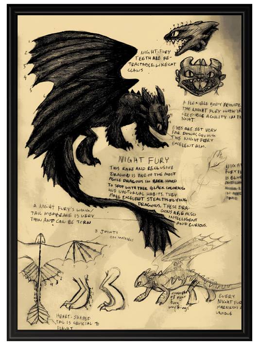 Como Entrenar a Tu Dragon #2