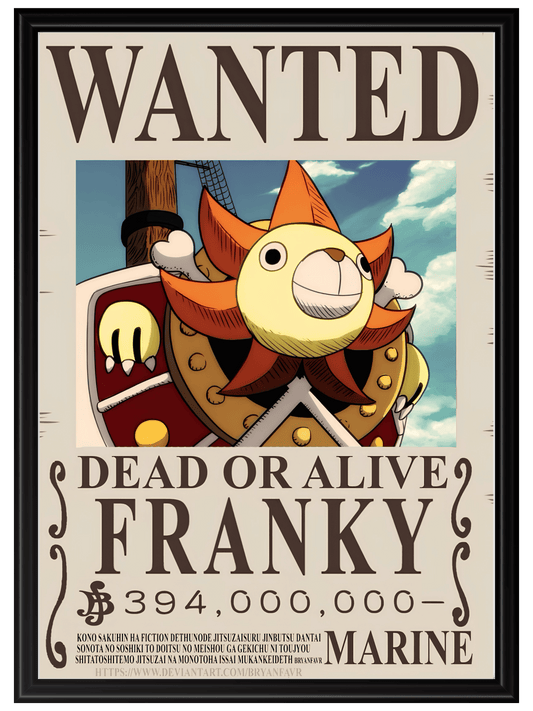 One Piece #16