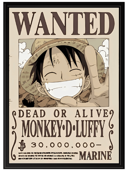 One Piece #6