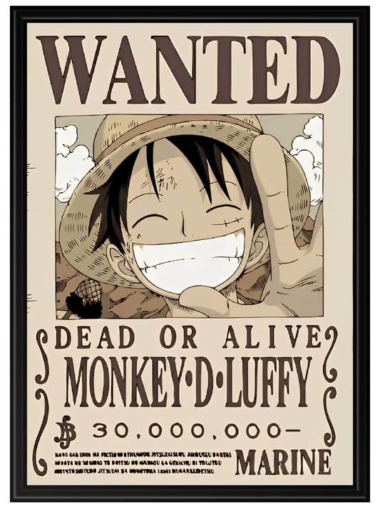 One Piece #6