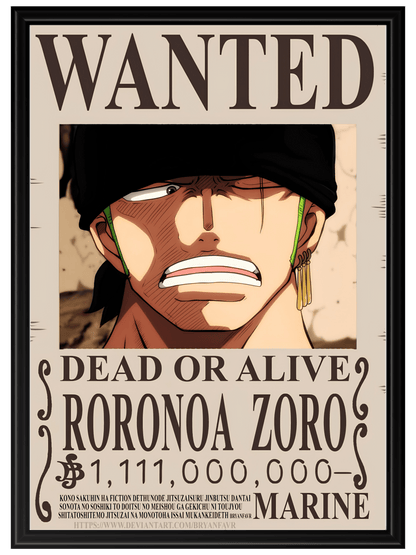 One Piece #8