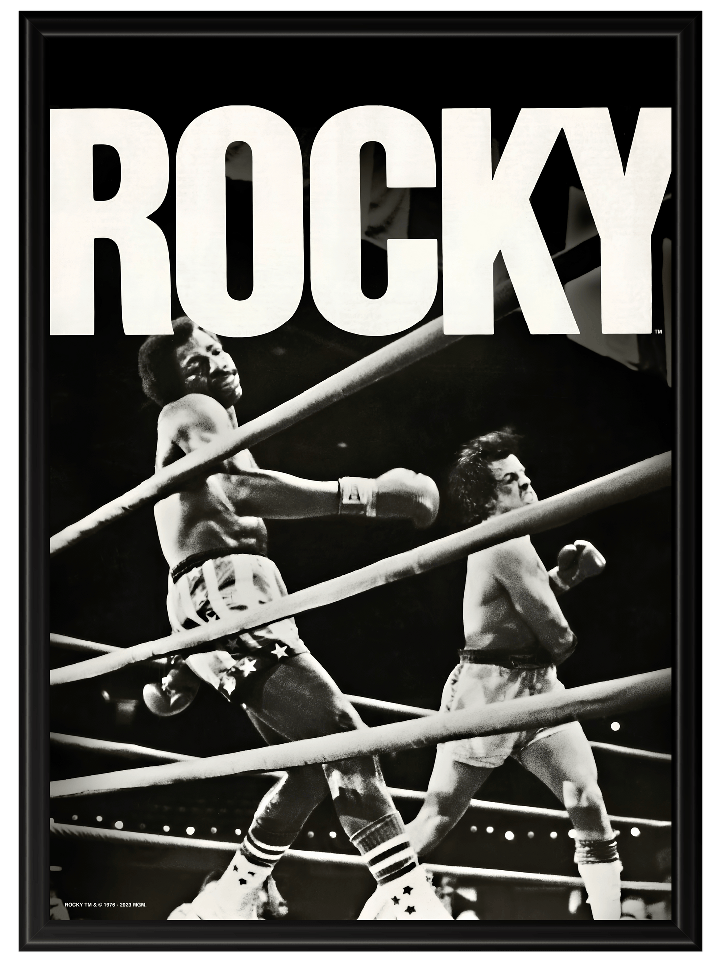 Rocky #3