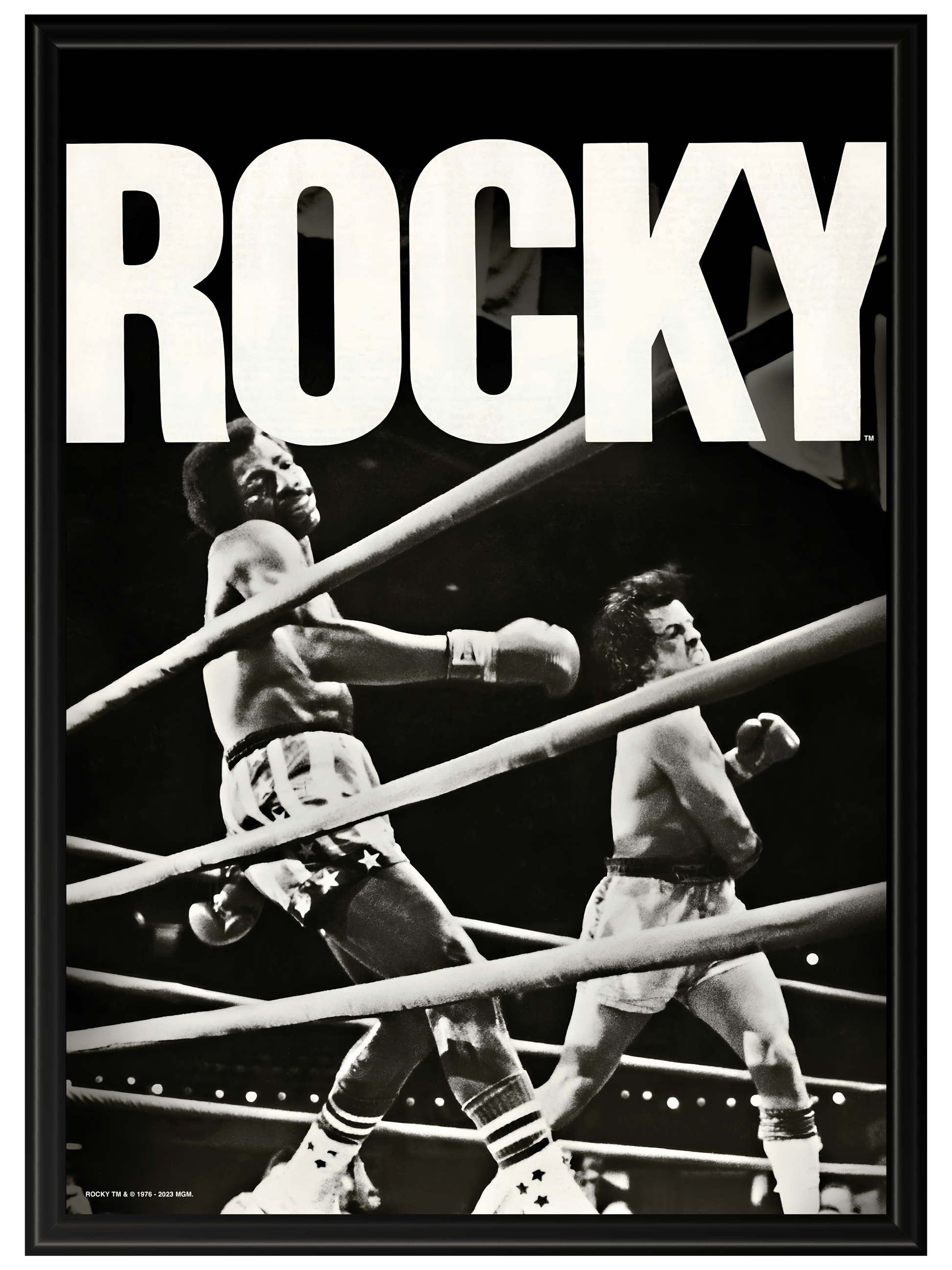Rocky #3
