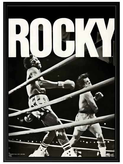 Rocky #3