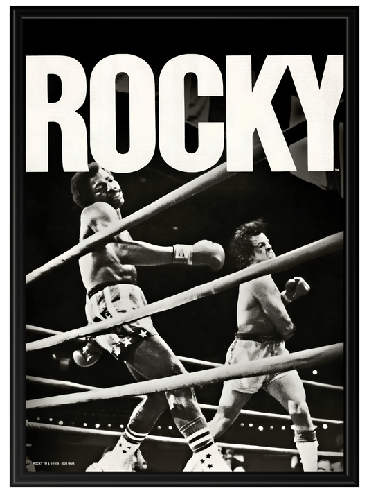 Rocky #3