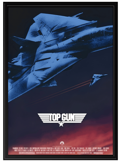 Top Gun #3