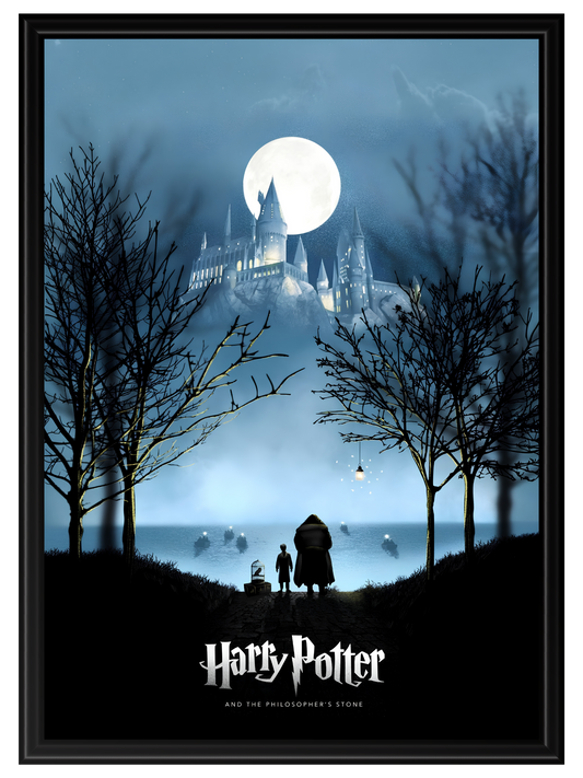 Harry Potter #16