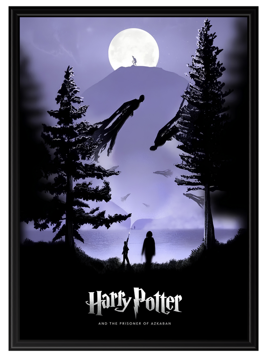 Harry Potter #17