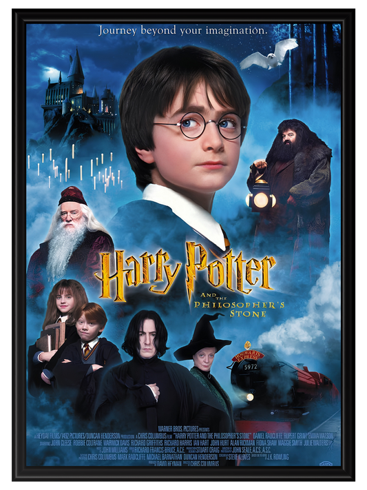 Harry Potter #2